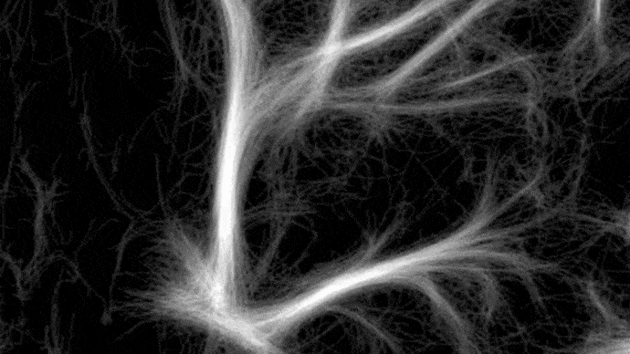 High resolution vascular map of the mouse brain (approx. –2.30 mm from Bregma) obtained with ULM. The image was reconstructed from a 5 min recording, following intravenous injection of a single bolus of microbubbles.