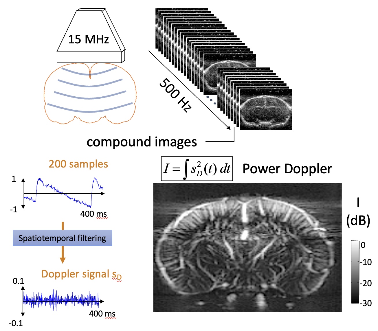 The principle of functional ultrasound and how it improves on conventional ultrasound – by combining high-frequency plane-wave echoes into a single frame, and by monitoring echoes from the whole scanning region simultaneously.