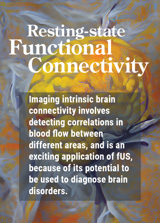 Applications : resting-state functional connectivity