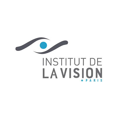 Institut de la vision logo