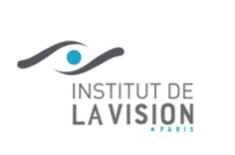 Institut de la vision