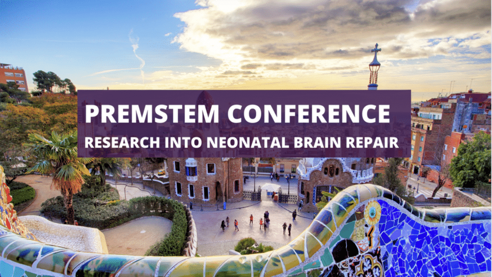 Final PREMSTEM conference to highlight next steps in research for neonatal brain repair