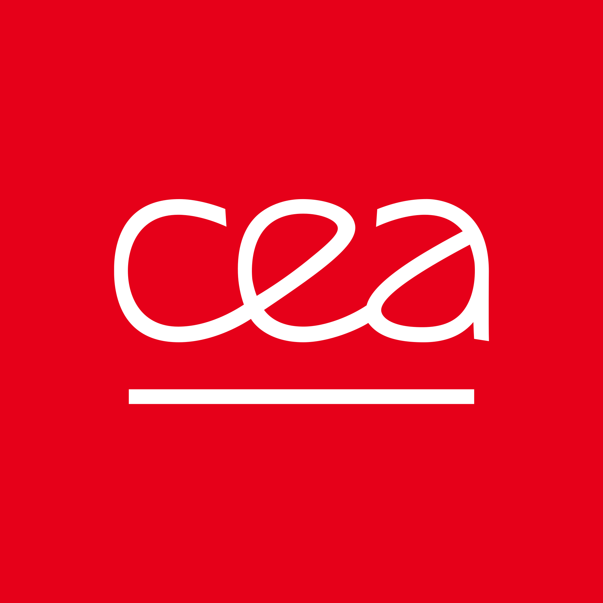 CEA Paris-Saclay (NeuroSpin)