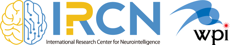 International Reseach Center of Neurointelligence